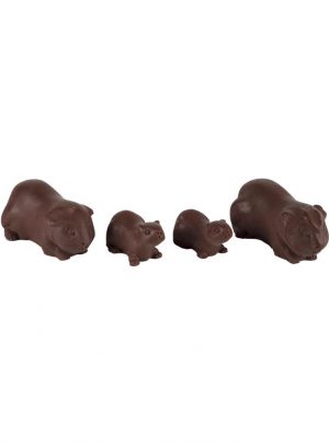 Guinea pig family in Chocolate.